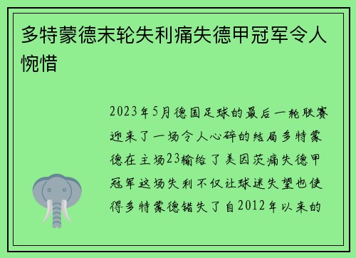 多特蒙德末轮失利痛失德甲冠军令人惋惜